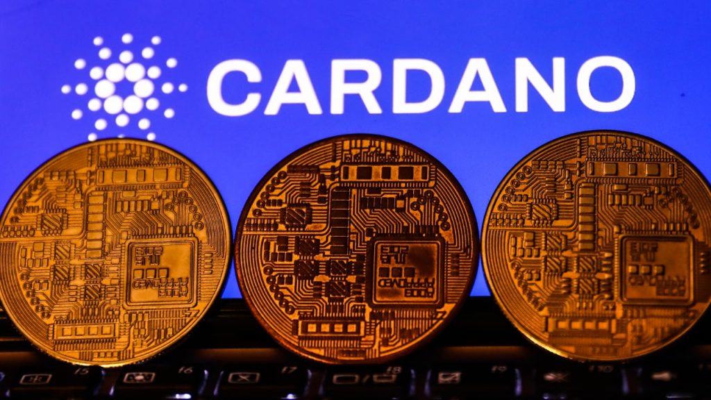 Cardano: Spor Bahislerini Devrimi