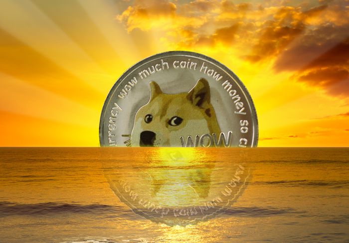 Dogecoin: Bahis Normlarını Bozan Bir Kripto Para